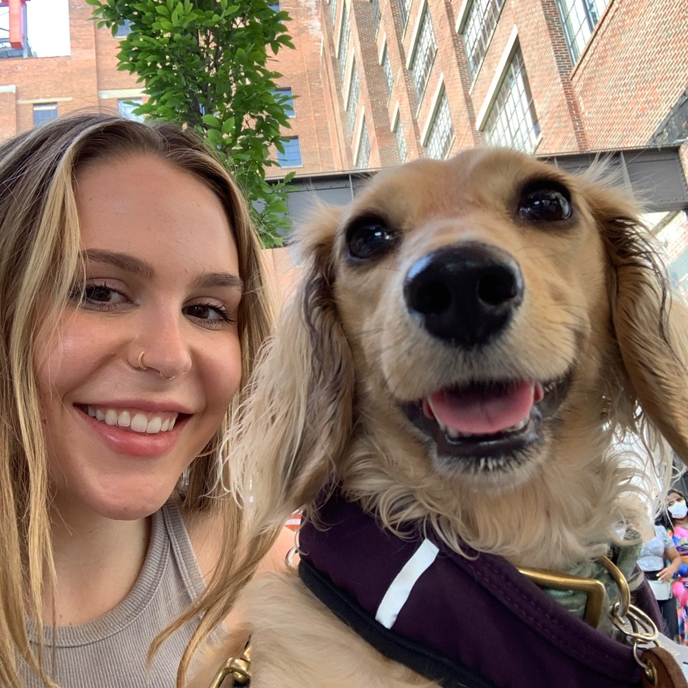 Meet your Posher, Morgan